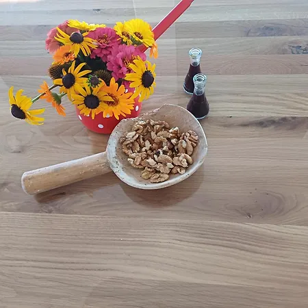 Ferienhaus Hisa Stolc